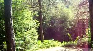 Doğa Yürüyüşü - Kent Ormanlar - İki Şelale - Dipsizgöl