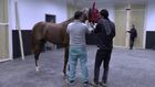 Atçılık Güncesi Efsane Haralar - At hastahanesi Veteriner Hekim Ayşe Yetiş Röportajı