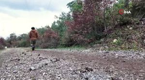 Nilüfer'i farklı kılacak hizmetler hayata geçiyor