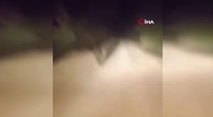 Bursa'da yat limanında korkutan yangın!
