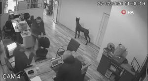 Bursa Mudanya'da 11 katlı binanın yıkım anı kameraya yansıdı