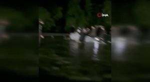 Bilecik'te orman yangını