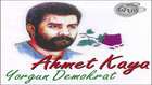 AHMET KAYA KİMDİR ? 