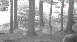 Bursa'da mahsur kalan öğrenciler banklardan köprü yaptı!