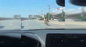 1 gencin hayatını kaybettiği silahlı saldırı kamerada