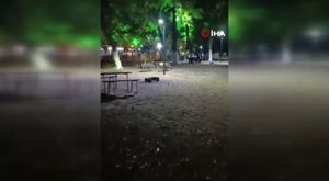 Bursa İznik Gölü'nde sular 200 metre çekildi, görüntü endişelendirdi!