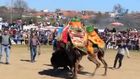 Çanakkale'de deve güreşleri nefes kesti 12.03.2018