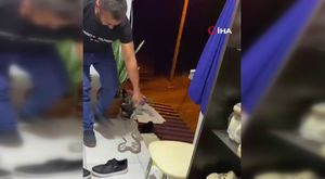 Hatay’da DEAŞ operasyonu: 10 tutuklama