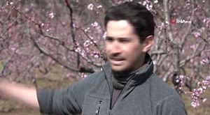 Bakan Yerlikaya duyurdu: Zehir tacirlerine geçit yok! Yüzlerce kişi yakalandı...