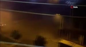 Bursa'da aç kalan domuz sürüsü şehre inip yemek aradı
