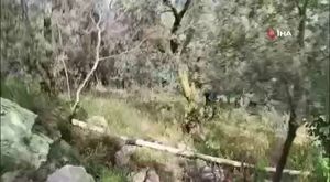 Bursa’da kamyonetle tır çarpıştı: 1 ölü, 1 ağır yaralı!