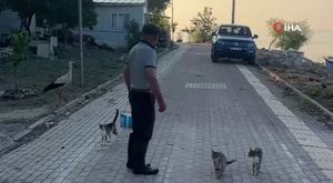 Bursa'da motosikletle ölümüne yarış...