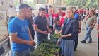 Nazilli'de kaliteli incir için kaliteli ilek denetimleri sürüyor