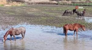 Bursa Büyükşehir Belediyesi ve Antakya Belediyesi arasında örnek dayanışma