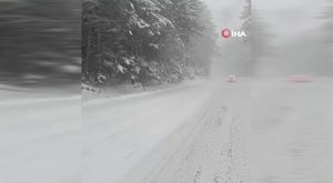 Bursa'da  yavru köpek demir korkuluklara sıkıştı