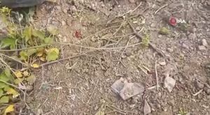 Suuçtu Şelalesi'nde eşsiz güzellik