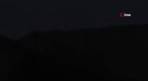 Tarihi yarımadanın maskotu olan tilki, sporcunun elinden beslendi