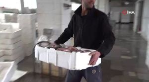 MHP Bursa Milletvekili Büyükataman: Zillet cephesi ülkeyi uçuruma çekecektir