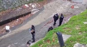 Bursa'da dört dana şehri birbirine kattı