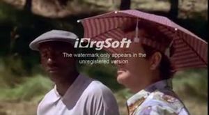 Come Fly With Us (A Some Pokemon-loving dude Crossover) 