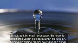 Ezberlerinizi Bir Anda Bozacak İlginç Bilgiler 