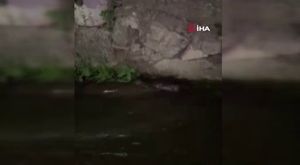 Binlerce Bursalı kar ve yağmur duasında
