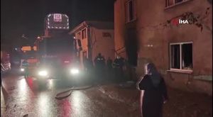 Bursa'da dört dana şehri birbirine kattı