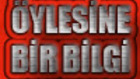 oylesinebirbilgi