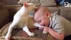 Kedi Ve Bebeğin İnanılmaz Dostluğu