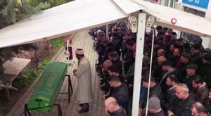 Türkiye’nin en zehirli yılanı görüntülendi