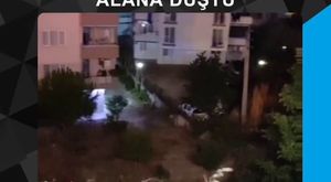 Bursa'da yaşlı adam yamaçtan çalılık alana düştü