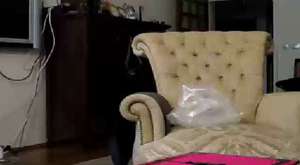 Canlı Yayın - damlauzay - 2016-02-11 17:46