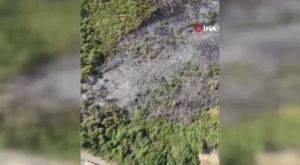Tayland'da vinç faciası: 22 ölü, 55 yaralı
