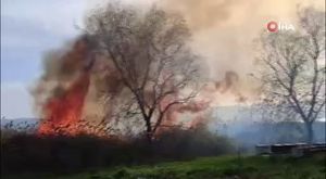 Bakan Tunç: Bu davranışlara müsaade etmeyiz