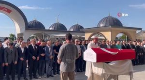 Bursa'da yunus balıklarının şovu kameralarda
