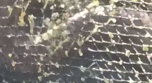 Kozan Kalesi eteklerinde çıkan örtü yangını söndürüldü