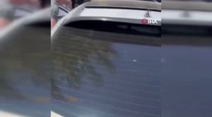 Koronavirüse karşı etken madde geliştirildi