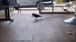 Ankara Caddesi’nde Gerginlik: Eyleme Polis Müdahalesi