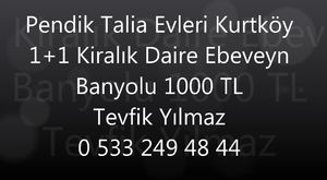 Tevfik Yılmaz dan Pendik Yenişehir Still İstanbul Kiralık Eşyalı 1+1 Daire  1350 TL