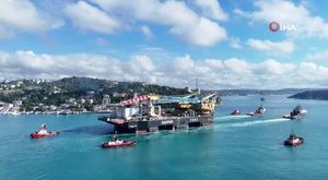 Aç kalan domuzlar Nilüfer Kent Ormanı'nda yiyecek aradı