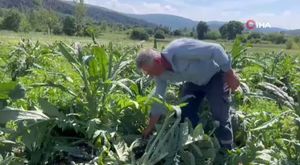 Bursa'da korkunç kaza: Motosikletli genç kamyonun altına girdi!