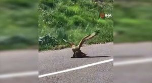 Arabayatağı’na modern kapalı pazar alanı