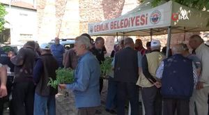 Bursa'da arı sütü üretimi başladı! Kilosu 10 bin liradan satılıyor...