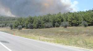 Orman Yangını (28 Tem 2013)