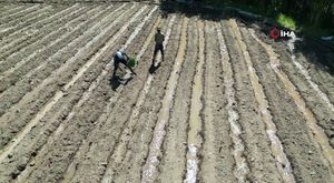 Karadeniz olması gerekenden sıcak