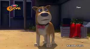 Harika Kanatlar Çizgi Filmi - Prensesin Yavru Köpekleri 