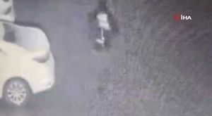 Niğde'de 30 dönüm meralık alan yandı