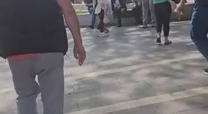 Bursa'da kraliçe arı ortalığı karıştırdı! Sokağı istila ettiler...