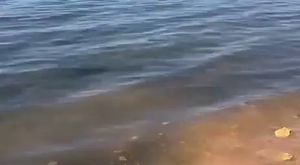 Bursa'da yaz spor okullarına renkli veda