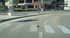 Feci kazada 26 kişi yaralandı